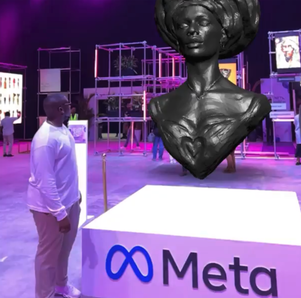 Meta Flex Naija