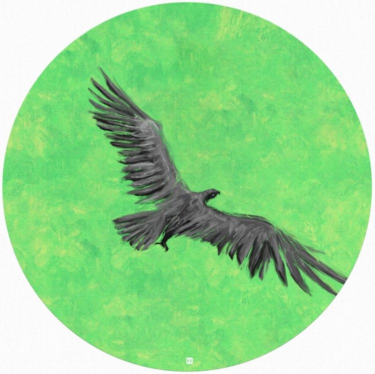 Creature of the Air